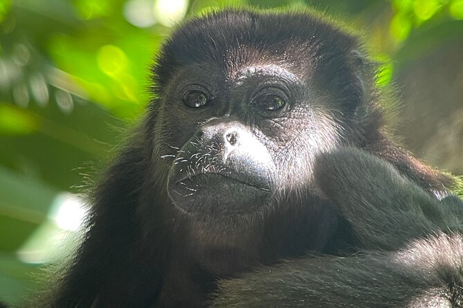 2 Days 1 Night Corcovado Jungle Adventure Sirena Ranger Station - Getting to Puerto Jiménez