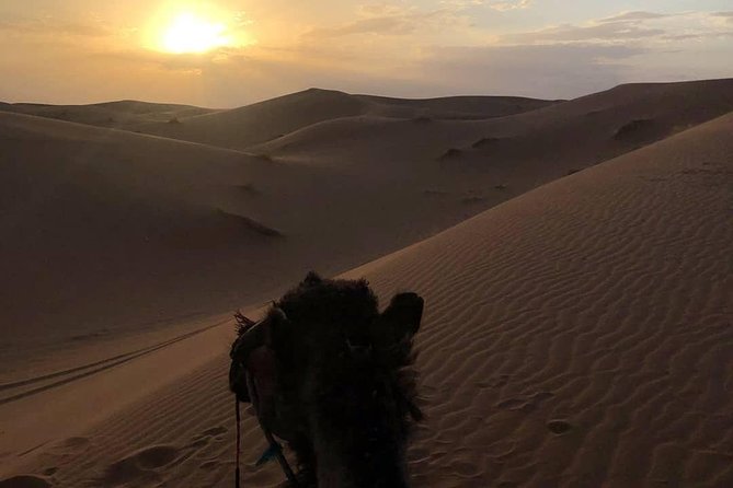 2 Days/1 Night Desert Tour From Fes and Back to Fes - Returning to Fes: The Final Leg