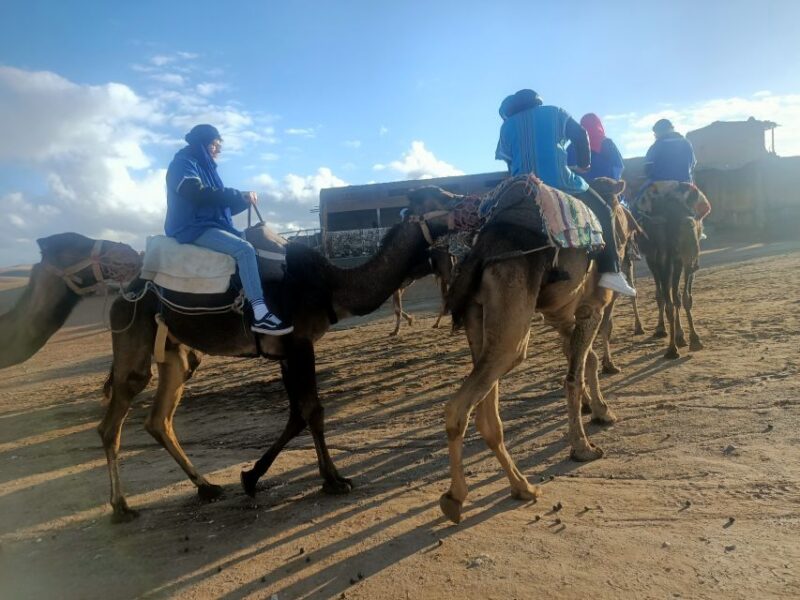 2 Days 1 Night From Marrakech to Zagora Desert - Day 2 Highlights