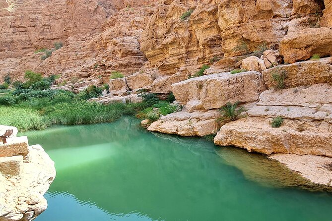 2-Days 1 Night Private Ras Al Hadd Tour - Transportation and Guide
