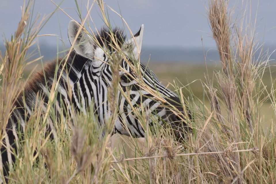2 Days 1 Night Taita Hills - Experience Highlights