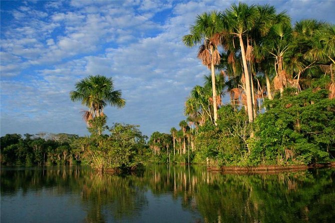 2 Days 1 Night - Tambopata Jungle - Accessibility and Suitability