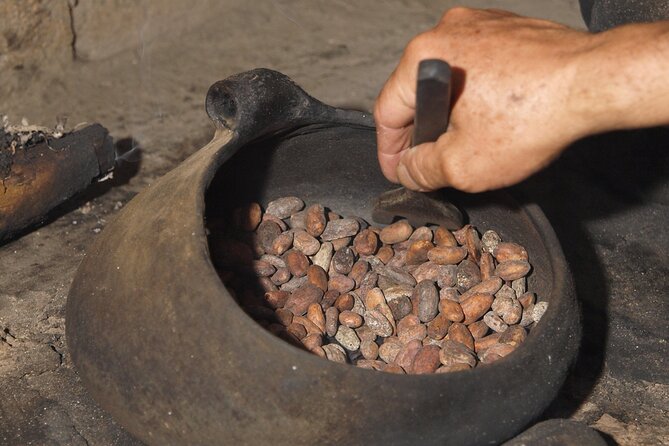 2 Days/1 Night Tour: Be Immersed in a Cocoa Farm in the Jungle of Cusco - Pricing and Cancellation Policy