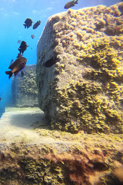 2 DAYS - 3 DIVES - Participant Requirements