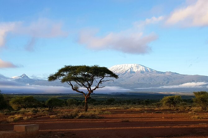 2 Days Amboseli Park Overnight Private Safari - Accommodation and Meals