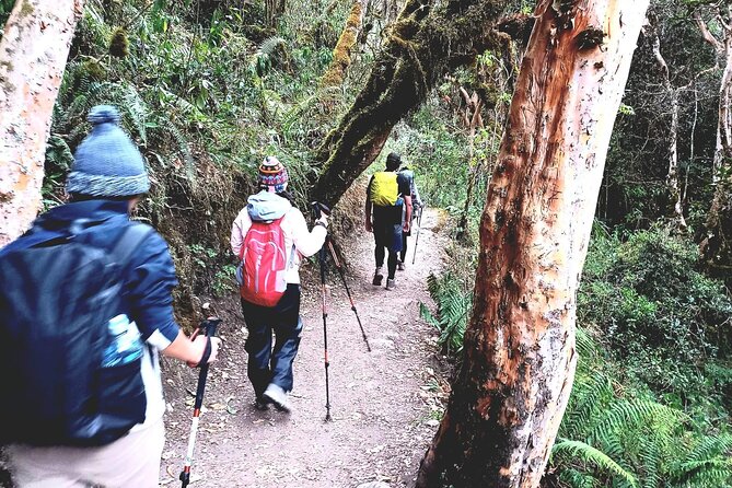 2 Days and 1 Night Short Inca Trail to Machu Picchu - Physical Requirements