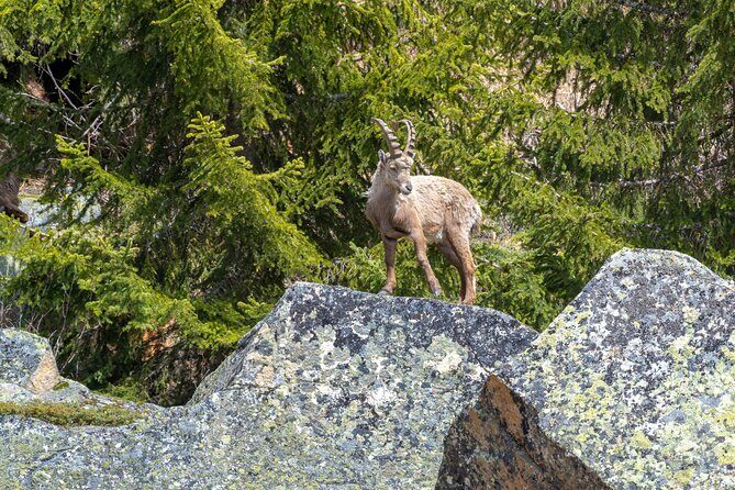 2 Days Banff and Jasper Tour : Lakes, Glaciers and Hot Springs - FAQ