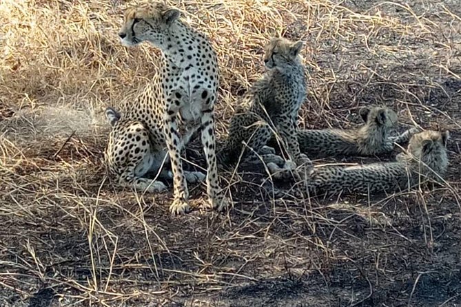 2 Days Camping Safari, Lake Manyara & Ngorongoro Crater - Booking Process