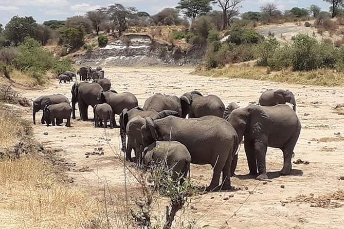 2 Days Camping Safari, Lake Manyara & Ngorongoro Crater - Price Breakdown
