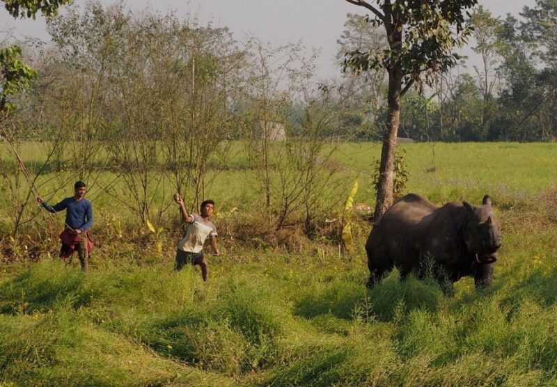 2 Days Chitwan Safari Tour - Day 2 Itinerary