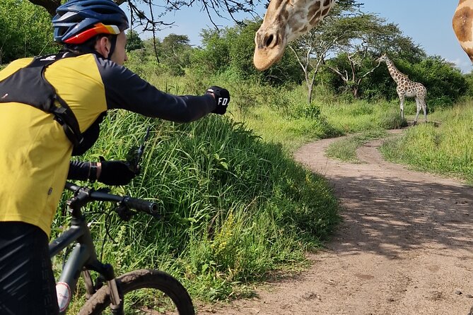 2 Days Cycling Safari To Lake Mburo National Park - Traveler Reviews and Recommendations