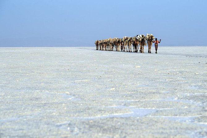 2 Days Dallol Trip - Included Amenities