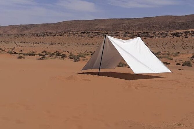 2 Days Desert Tour From Agadir -(El Borj Desert & Legzira Beach) - Reviews and Feedback