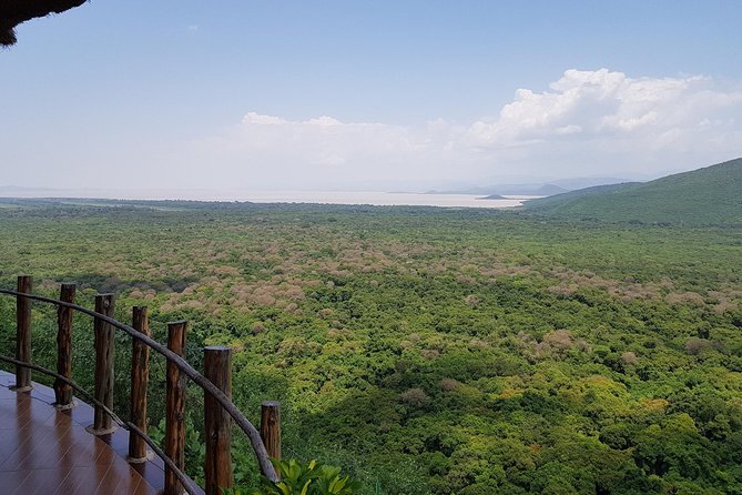 2 Days Ethiopian Rift Valley Lakes Tour From Addis Ababa - Customer Reviews