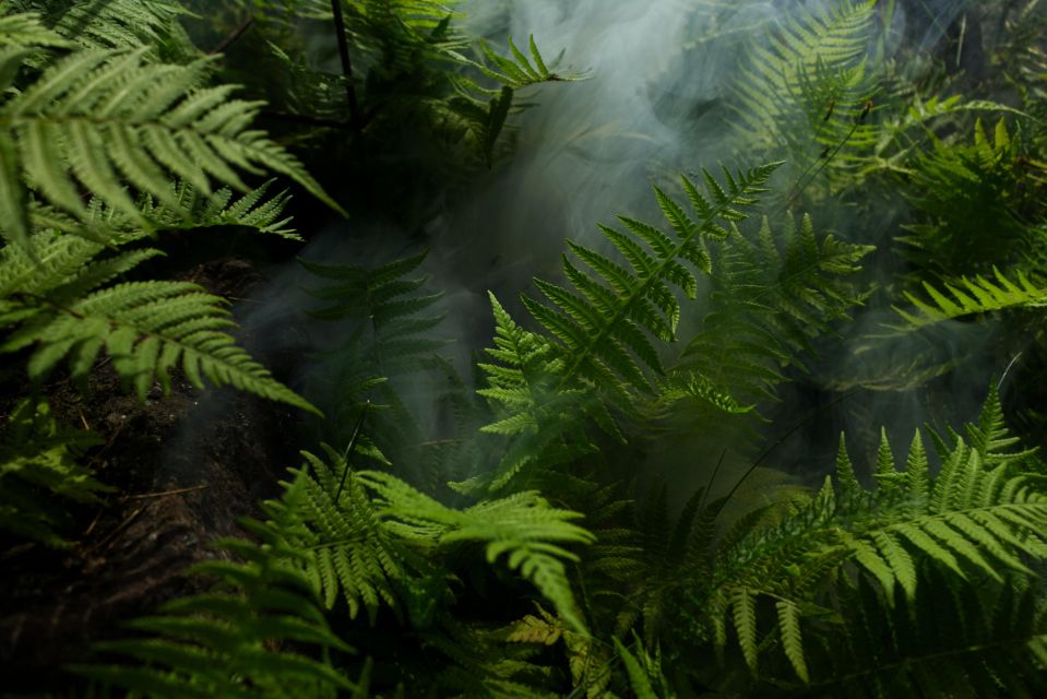 2 Days Expedition From Bukit Lawang: Connect With Nature - Pristine Bukit Lawang Jungle Immersion