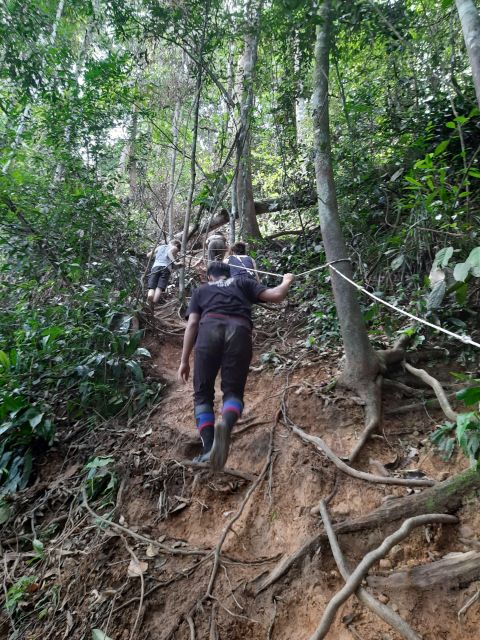 2 Days Expedition From Bukit Lawang: Connect With Nature - Capturing Unforgettable Moments in Nature