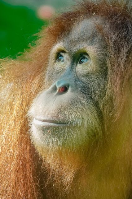 2 Days Expedition From Bukit Lawang: Connect With Nature - Booking and Cancellation Policies