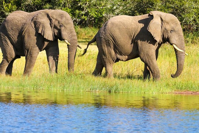 2 Days in Akagera National Park - Good To Know