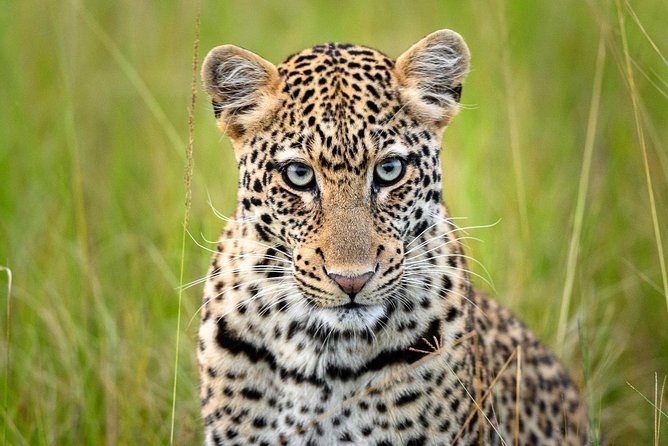 2 Days in Akagera National Park - Frequently Asked Questions