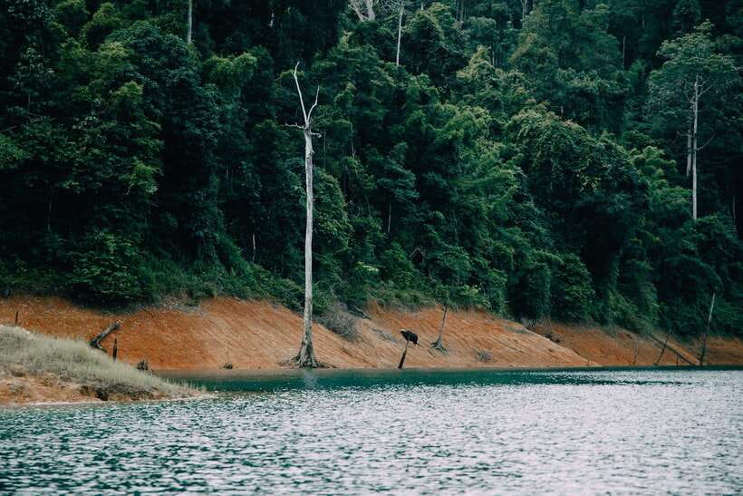 2 Days Khao Sok With Overnight at Cheow Lan Lake Raft House - Activities and Experiences