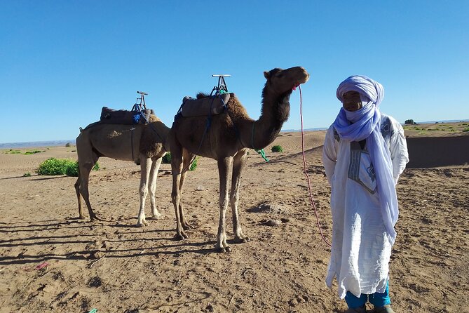 2 Days Marrakech to Zagora Desert Trip - Pickup and Accessibility