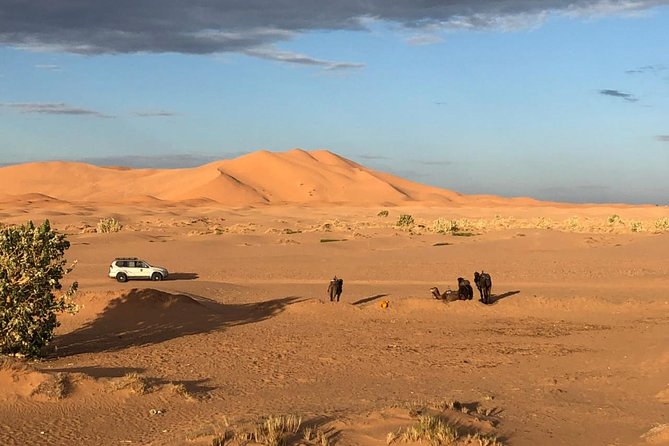 2 Days Marrakech to Zagora Desert Trip - Tips for Travelers