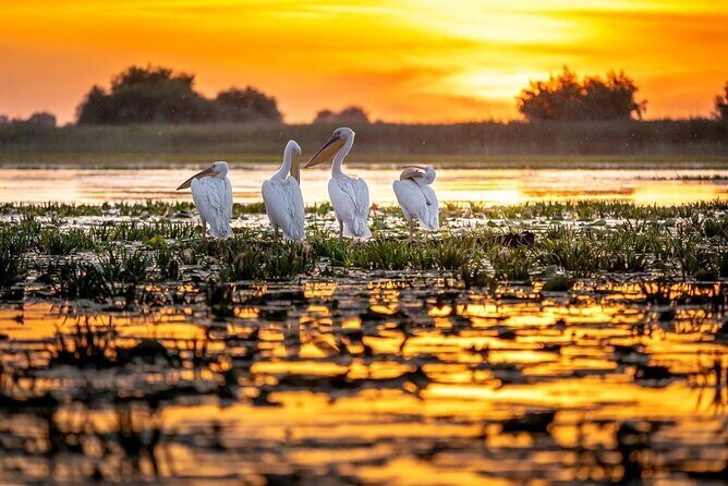 2 Days Private Tour from Bucharest to Black See and Danube Delta - Final Thoughts: Is This Tour Right for You?