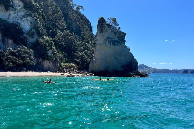 2 Days Private Tour in Coromandel Peninsula from Hamilton - Key Points