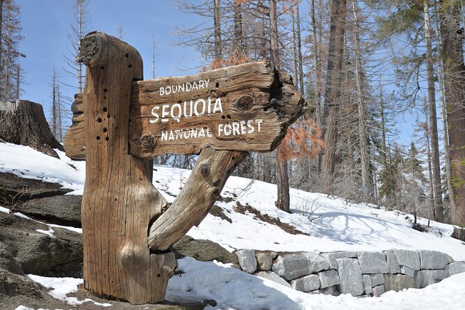 2 Days Private Tour to Sequoia and Kings Canyon Parks From LA - Good To Know