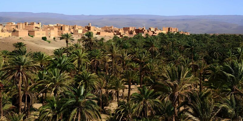 2-Days Sahara Desert Tour to Zagora & Ait Ben Haddou - Camel Trek in Zagora Desert