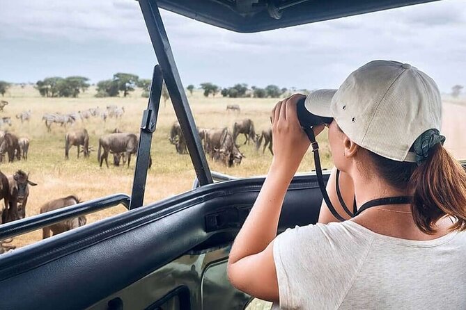 2 Days Tarangire and Ngorongoro Safari From Zanzibar - Inclusions and Exclusions