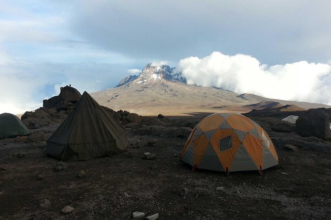 2 Days Tarangire & Ngorongoro Crater Safari Tour Tanzania - Reviews and Feedback