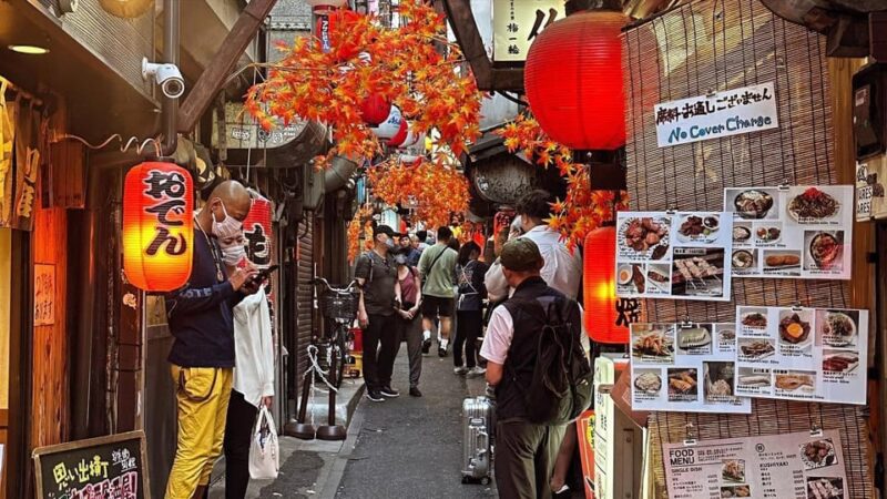 2 Days Tokyo&Kanagawa: Private Group Customized Walking Tour - Preparation Tips