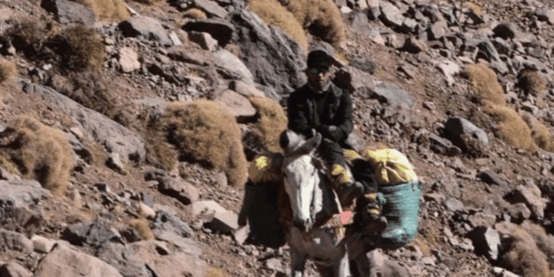 2 Days Toubkal Summit - Good To Know