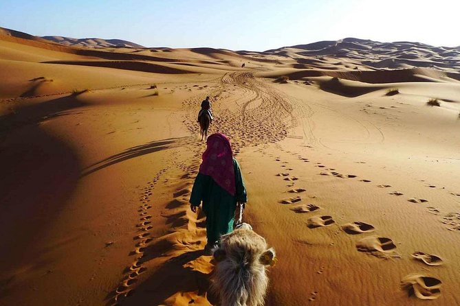 2 Days Tour From Fes To Marrakech Via Merzouga Desert - Transportation and Accessibility