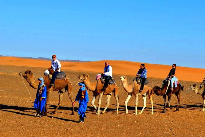 2 Days Tour From Fes To Marrakech Via Merzouga Desert - Traveler Reviews