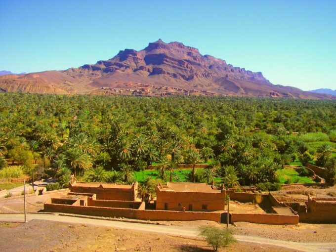 2 Days Tour to Zagora Desert With Sunset From Marrakech - Customer Feedback and Ratings
