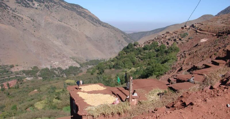 2 Days Trek in Marrakech, Atlas Mountains Hiking - Highlights and Cultural Experience