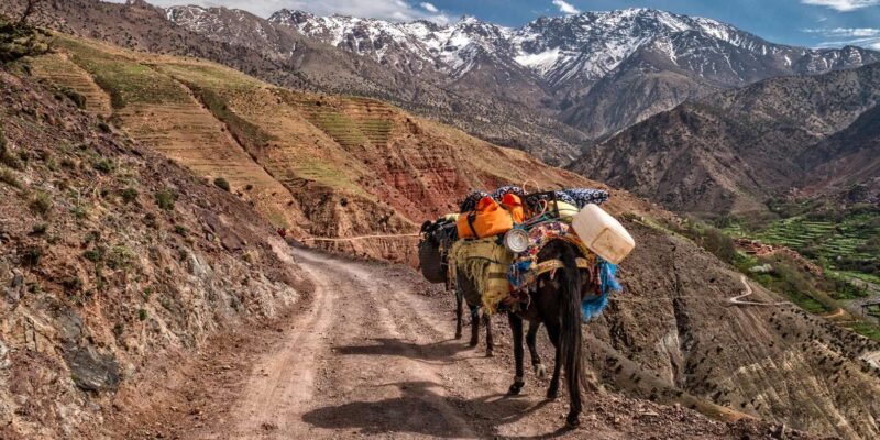 2 Days Trek in Marrakech, Atlas Mountains Hiking - Inclusions
