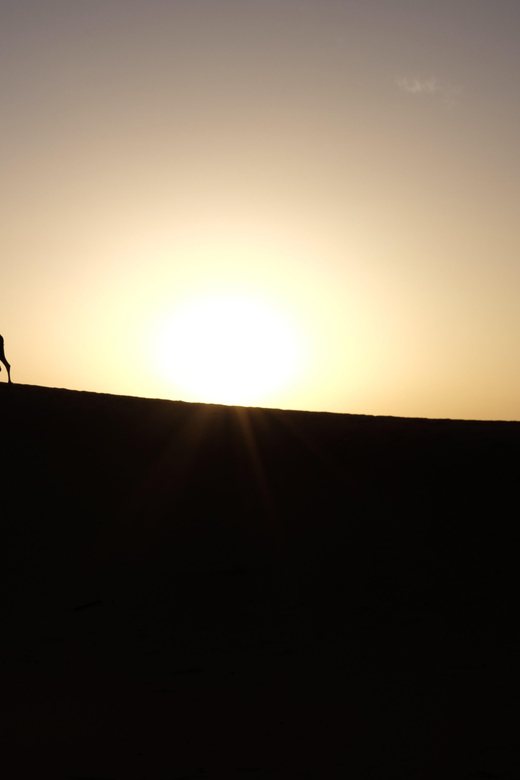2 Days Trip From Marrakech to Ait Benhaddou & Dades Valley - Exploring the High Atlas Mountains