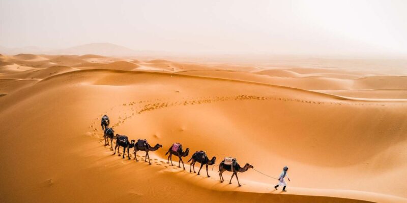 2 Days Trip From Marrakech to Ait Benhaddou & Dades Valley - Taking in Dades Valleys Charm