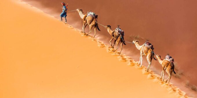 2 Days Trip From Marrakech to Ait Benhaddou & Dades Valley - Crossing the High Atlas Mountains Homeward