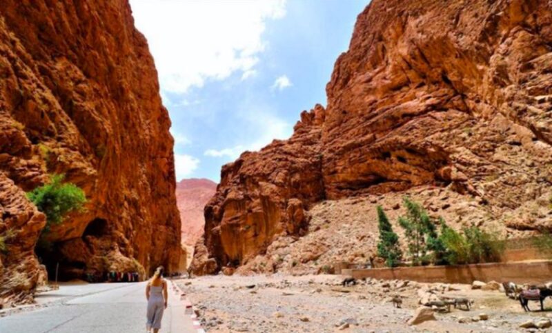 2 Days Trip From Marrakech To Ouarzazate & Dades Valley - Itinerary Highlights