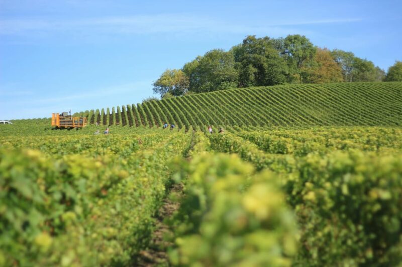 2 Days Winery Tour: 3 Wine Tastings, Local Hotel, 3 Meals - The Value of This Tour
