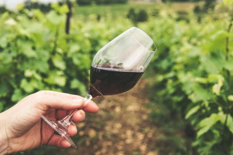 2 Days Winery Tour: 3 Wine Tastings, Local Hotel, 3 Meals - Practical Tips for Travelers