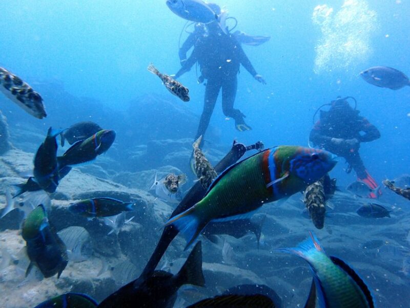 2-Dive Guided Scuba Diving For Qualified Divers - Preparation and Requirements