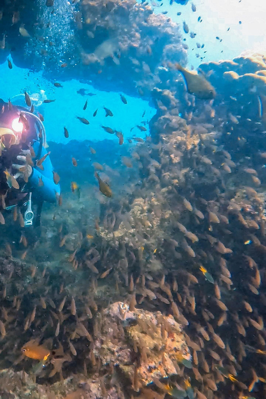 2 Dives at Stunning Beach Coral Reef in the Heart of Phuket - Frequently Asked Questions
