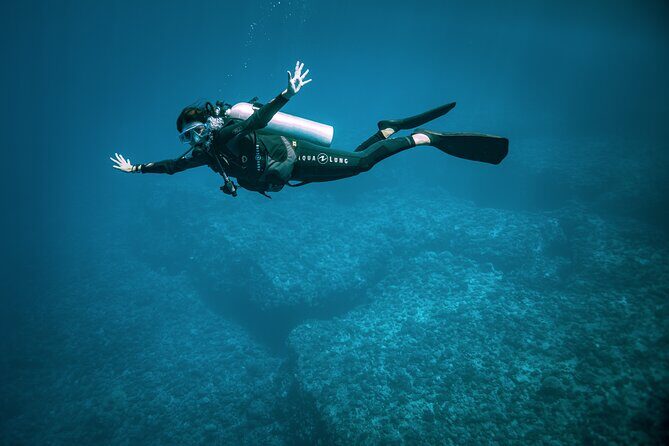 2 Dives in the morning for certified divers in Bora Bora - Who Would Enjoy This Tour?