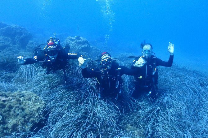 2 Dives Package - In The Sum Up