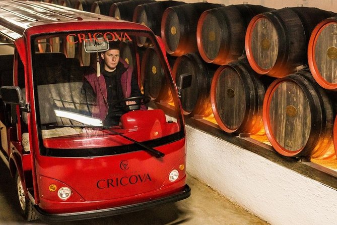 2 Excursions in One Day - Cricova Winery,Tiraspol City and Bender Fortress! - Cricova Winery